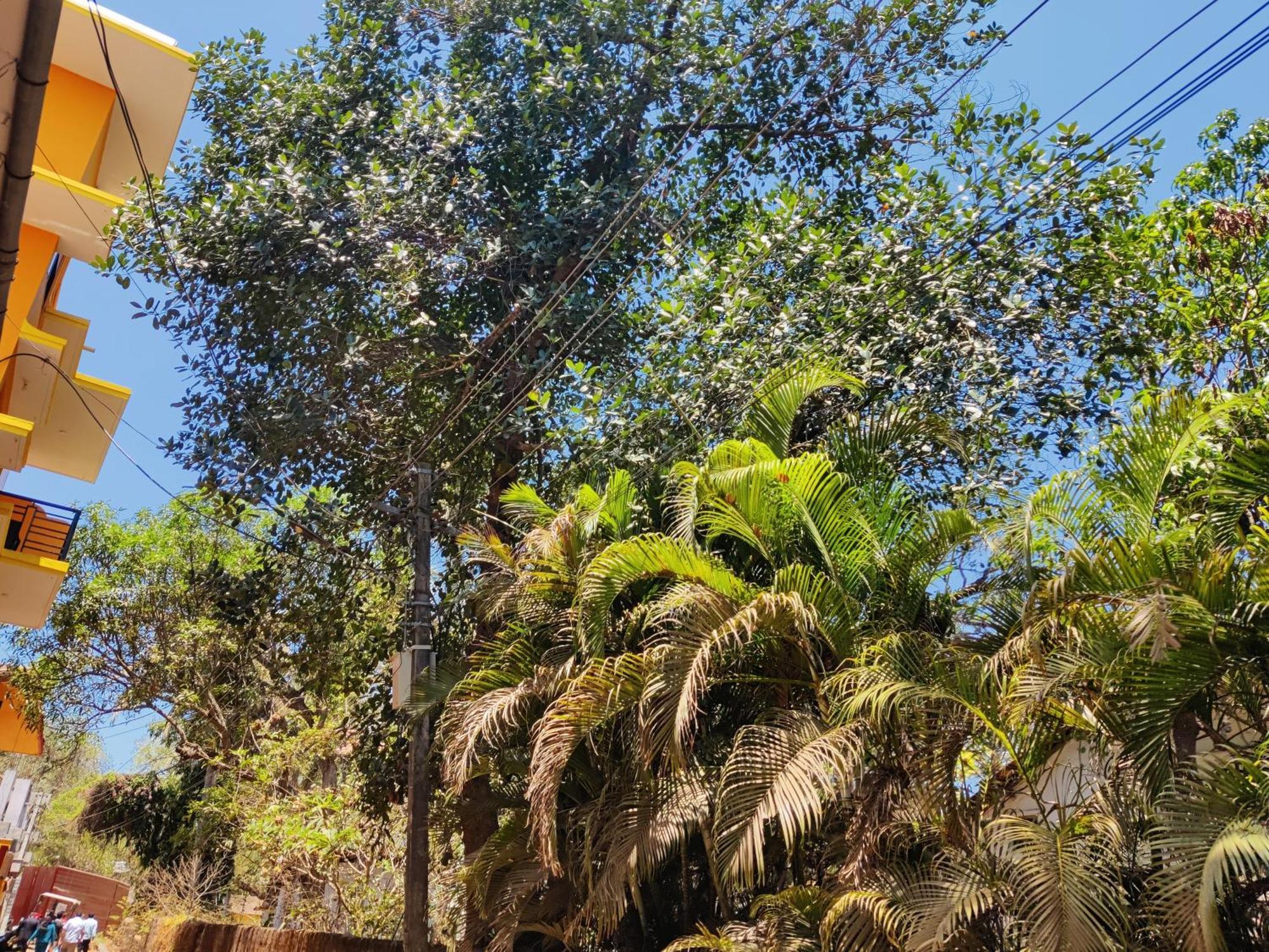 Sai Guru Guest House アンジュナ エクステリア 写真